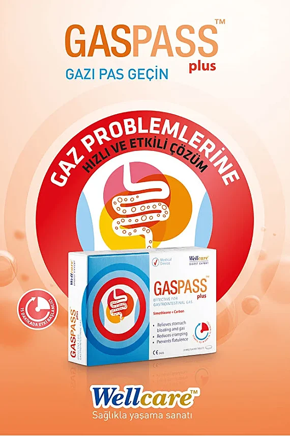 Wellcare Gaspass Plus 20 Tablet - 2