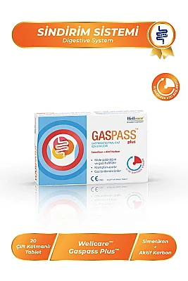 Wellcare Gaspass Plus 20 Tablet - Wellcare