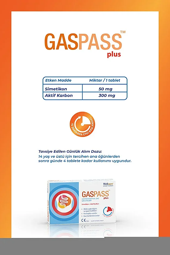 Wellcare Gaspass Plus 20 Tablet - 3