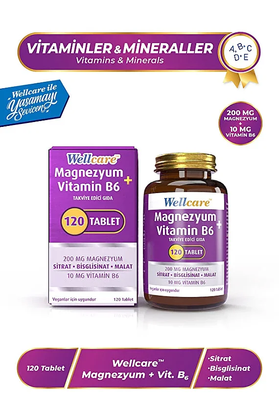 Wellcare Magnezyum B6 Vitamini 120 Tablet - 1
