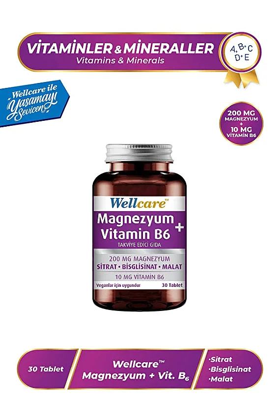 Wellcare Magnezyum B6 Vitamini 30 Tablet - 1