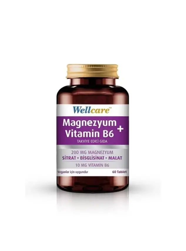 Wellcare Magnezyum B6 Vitamini 60 Tablet - 1