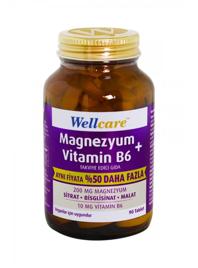 Wellcare Magnezyum B6 Vitamini 90 Tablet | Aynı Fiyata %50 Daha Fazla - Wellcare