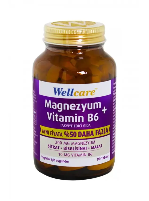 Wellcare Magnezyum B6 Vitamini 90 Tablet | Aynı Fiyata %50 Daha Fazla - 1