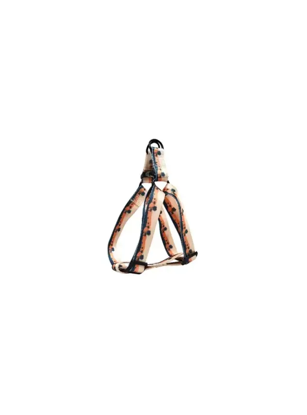 Zampa Carmen Köpek Gövde Tasması Small 1,5x25-40 Cm - 1